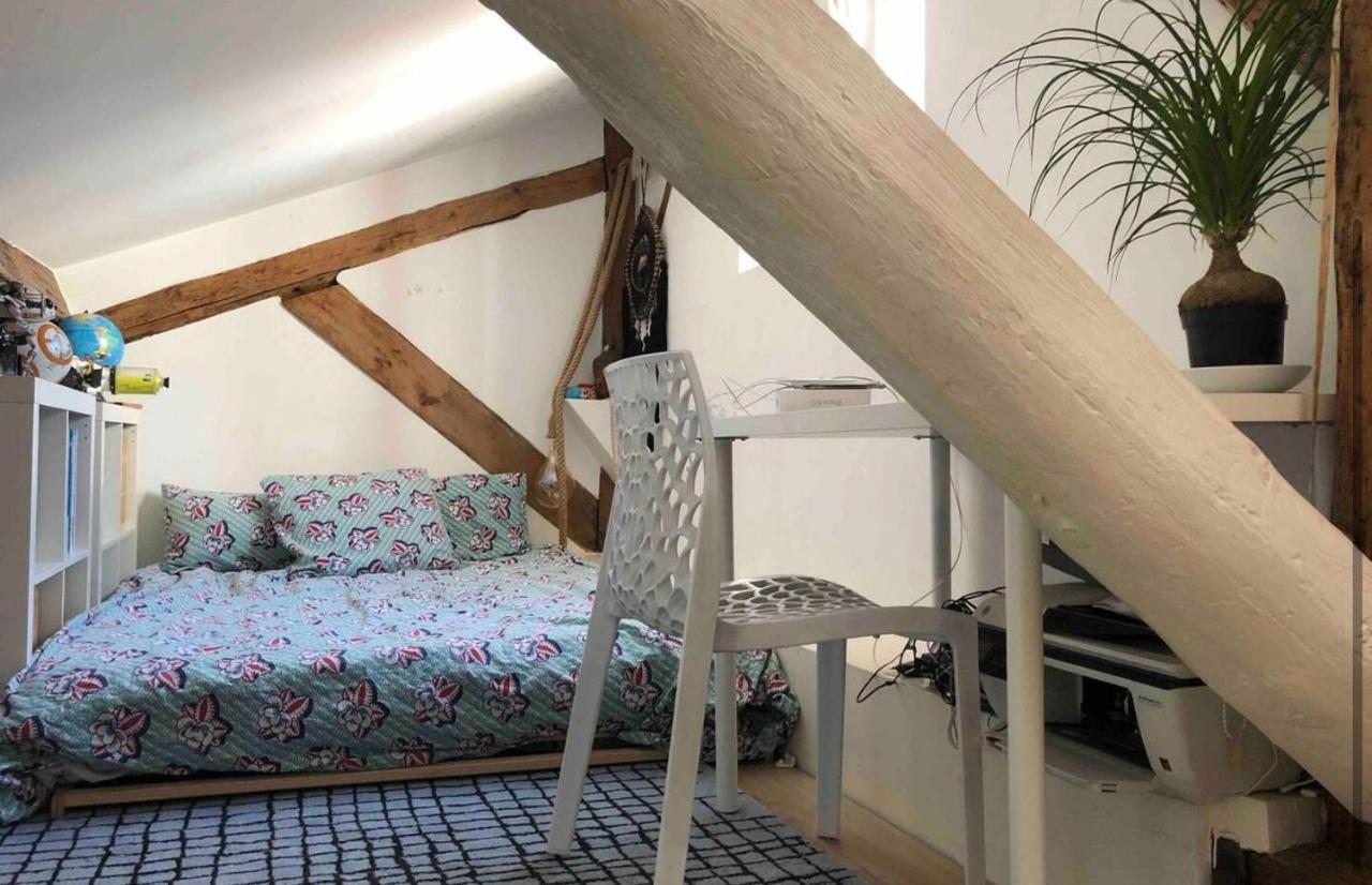 Apartmán Coeur De Lyon Avec Terrasse Et Jacuzzi Exteriér fotografie